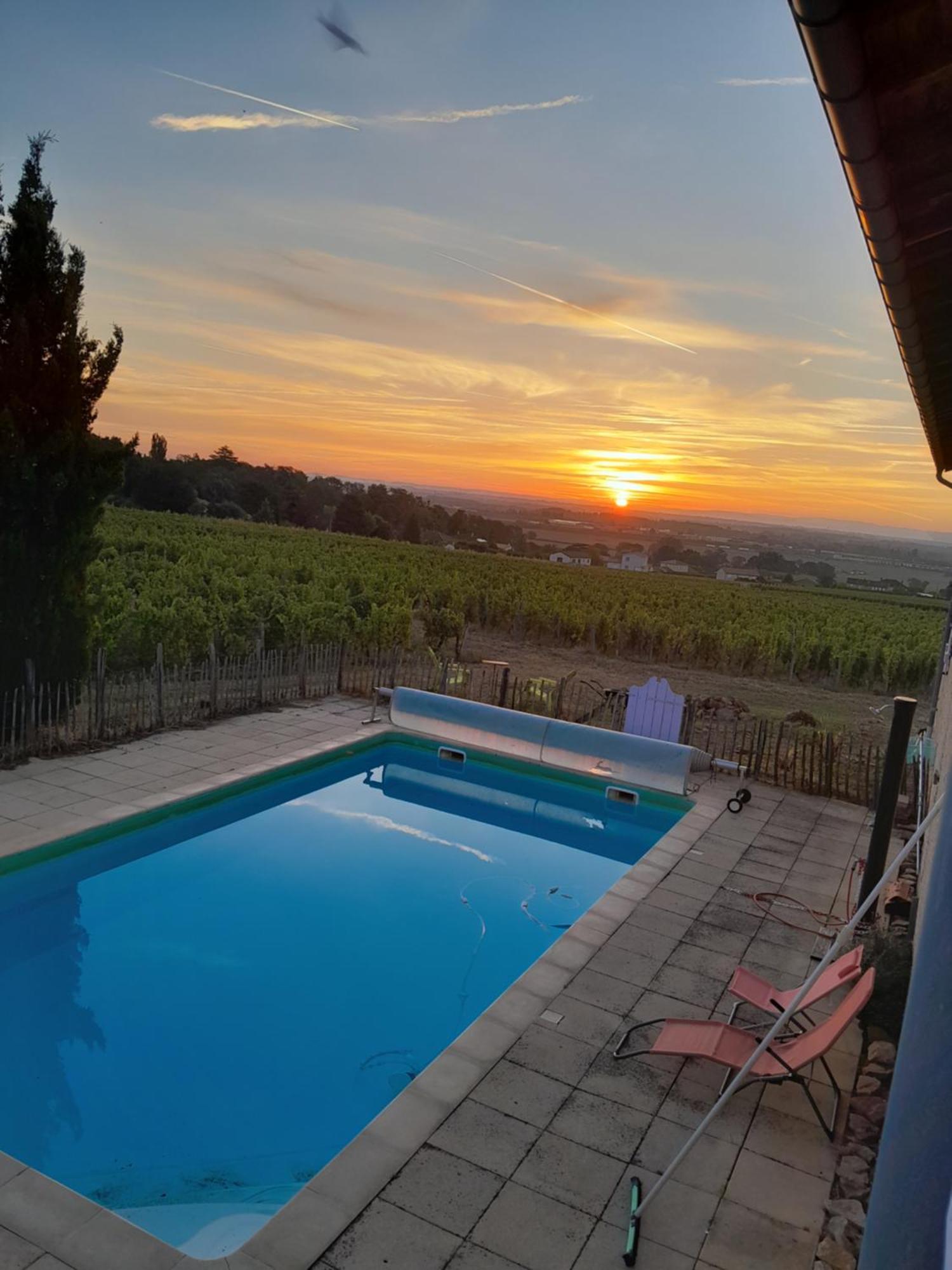 La Cote Des Blancs - Domaine Viticole & Maison D'Hotes Vinzelles エクステリア 写真