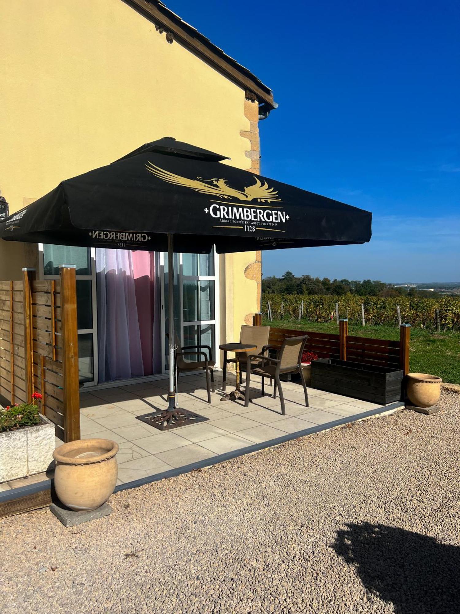 La Cote Des Blancs - Domaine Viticole & Maison D'Hotes Vinzelles エクステリア 写真